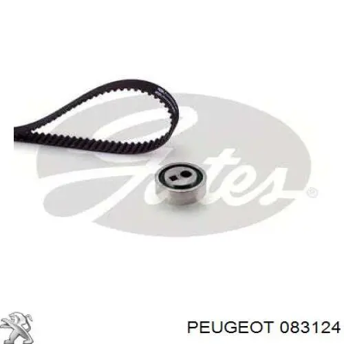 Комплект ГРМ Peugeot/Citroen 083124 ціна, від 29.79 USD