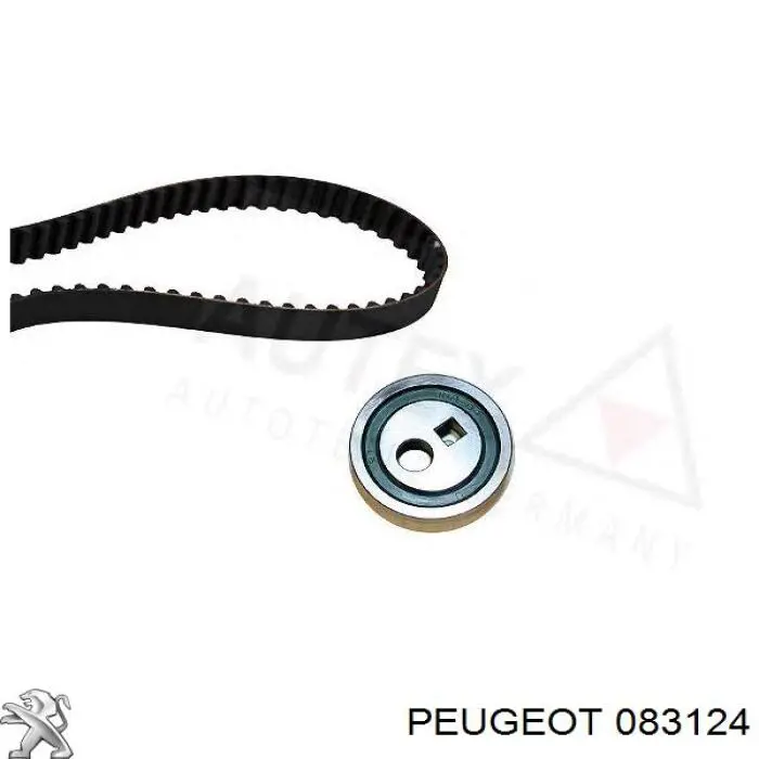 083124 Peugeot/Citroen комплект грм