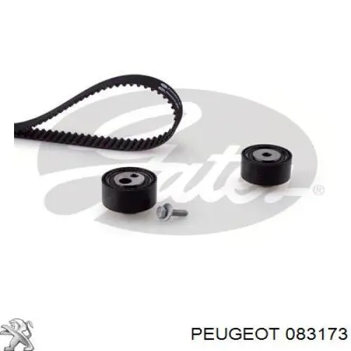 083173 Peugeot/Citroen комплект грм