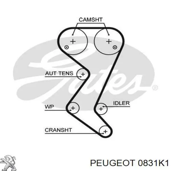 Комплект ГРМ 00000831V6 Peugeot/Citroen