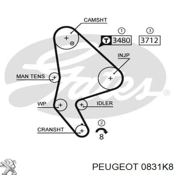 Комплект ГРМ Peugeot/Citroen 0831K8 ціна, від 70.34 USD