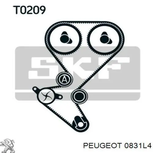 Комплект ГРМ E118448 Peugeot/Citroen