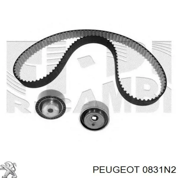 Комплект ГРМ 0831N2 Peugeot/Citroen
