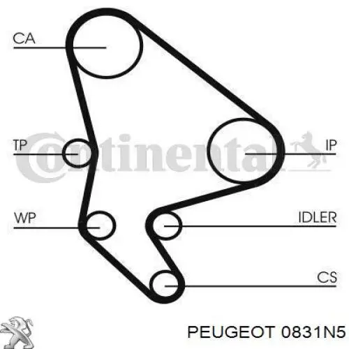 Комплект ГРМ Peugeot/Citroen 0831N5 ціна, від 57.81 USD