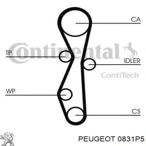 Ремінь ГРМ, комплект 0831P5 Peugeot/Citroen