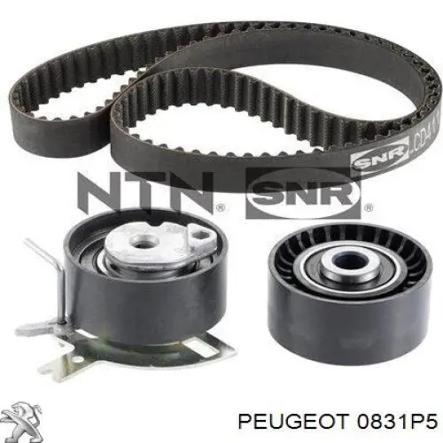 Комплект ГРМ Peugeot/Citroen 0831P5 ціна, від 86.18 USD