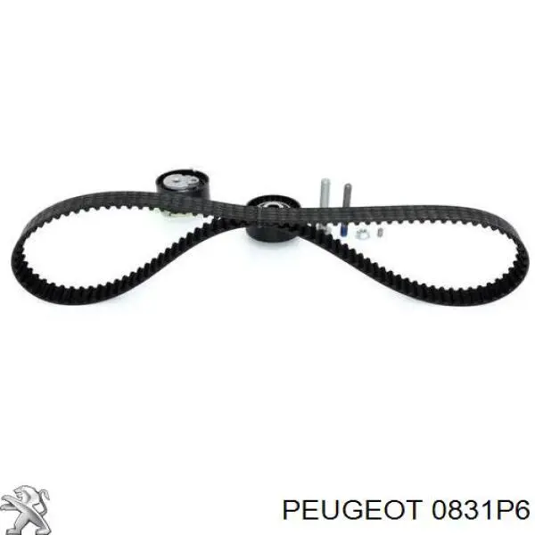 Комплект ГРМ Peugeot/Citroen 0831P6 ціна, від 85.82 USD