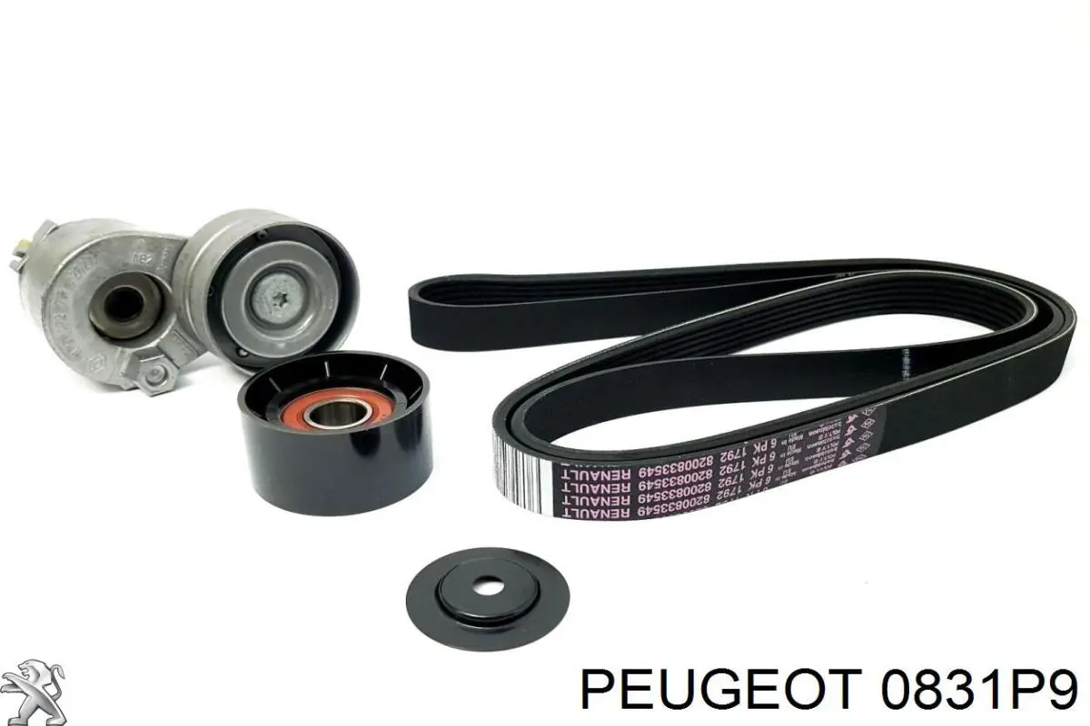 0831P9 Peugeot/Citroen ланцюг грм, комплект