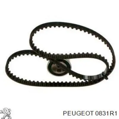 Купити 0831R1 Peugeot/Citroen ГРМ ремень