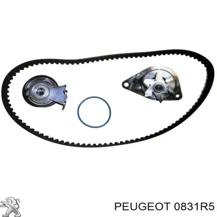 0831R5 Peugeot/Citroen Комплект ГРМ (Ремень, Комплект роликов)