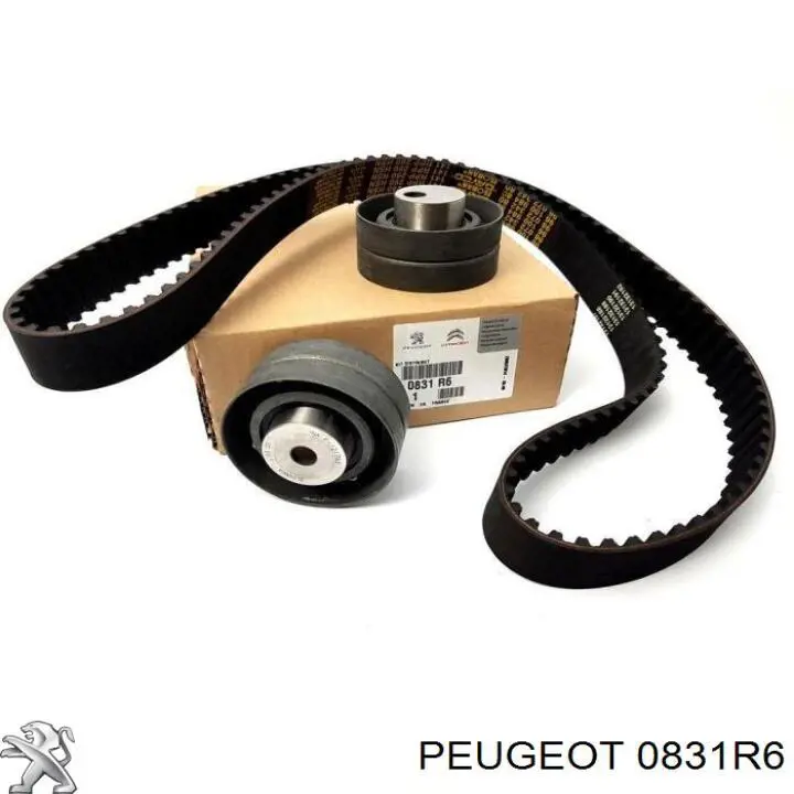 0831R6 Peugeot/Citroen комплект грм