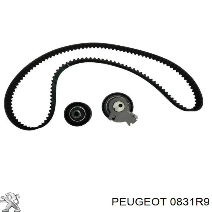 0831R9 Peugeot/Citroen Ремінь ГРМ, комплект
