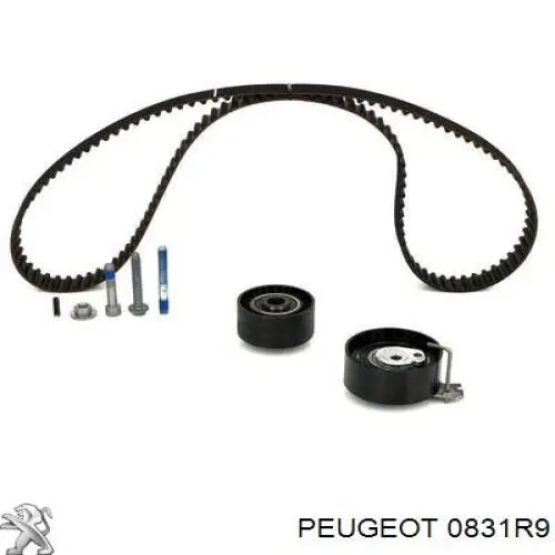 0831R9 Peugeot/Citroen комплект грм