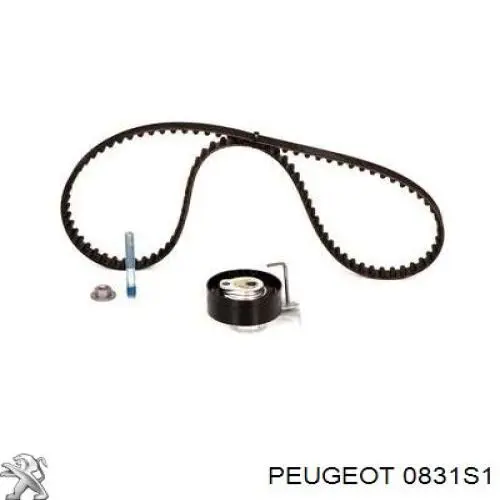 0831S1 Peugeot/Citroen комплект грм
