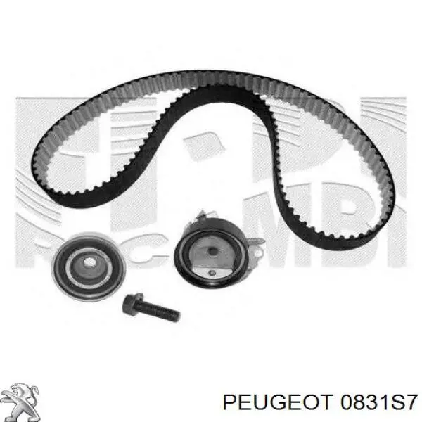 Комплект ГРМ Peugeot/Citroen 0831S7 ціна, від 71.42 USD