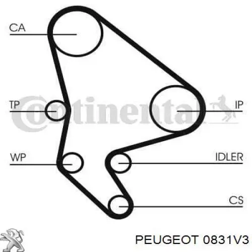 Комплект ГРМ 0831V3 Peugeot/Citroen