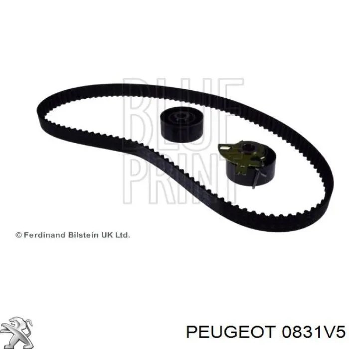 Купити 0831V5 Peugeot/Citroen ГРМ ремень