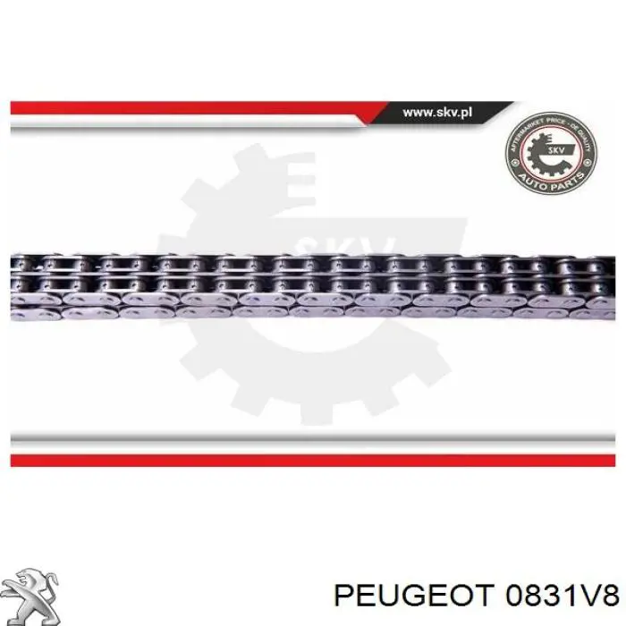 0831V8 Peugeot/Citroen Ланцюг приводу распредвала
