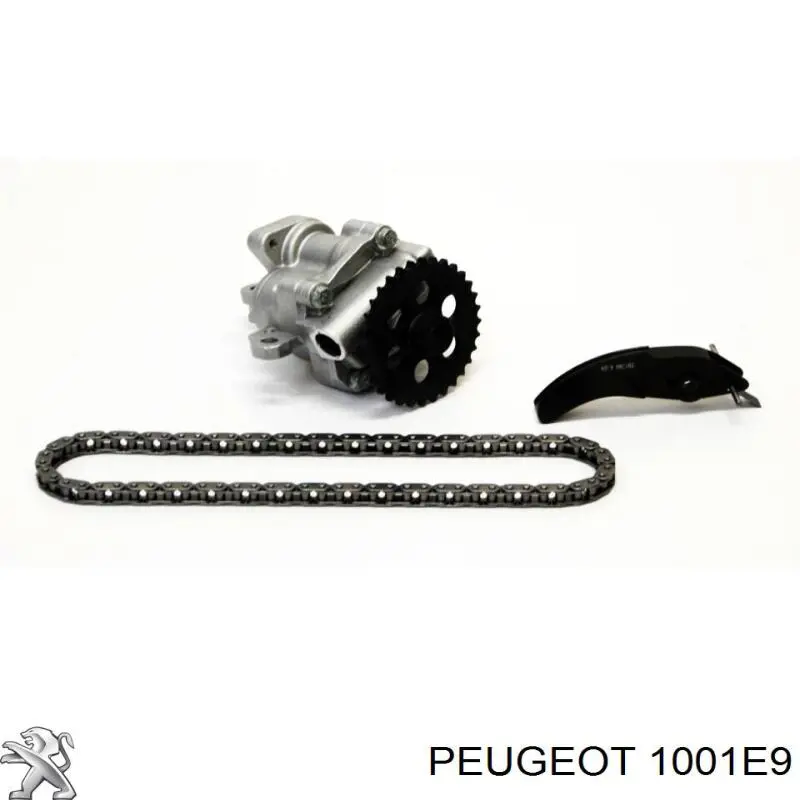 Купити 1001E9 Peugeot/Citroen Насос маслозакачуючий