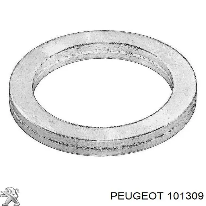 Прокладка масляного насосу 101309 Peugeot/Citroen