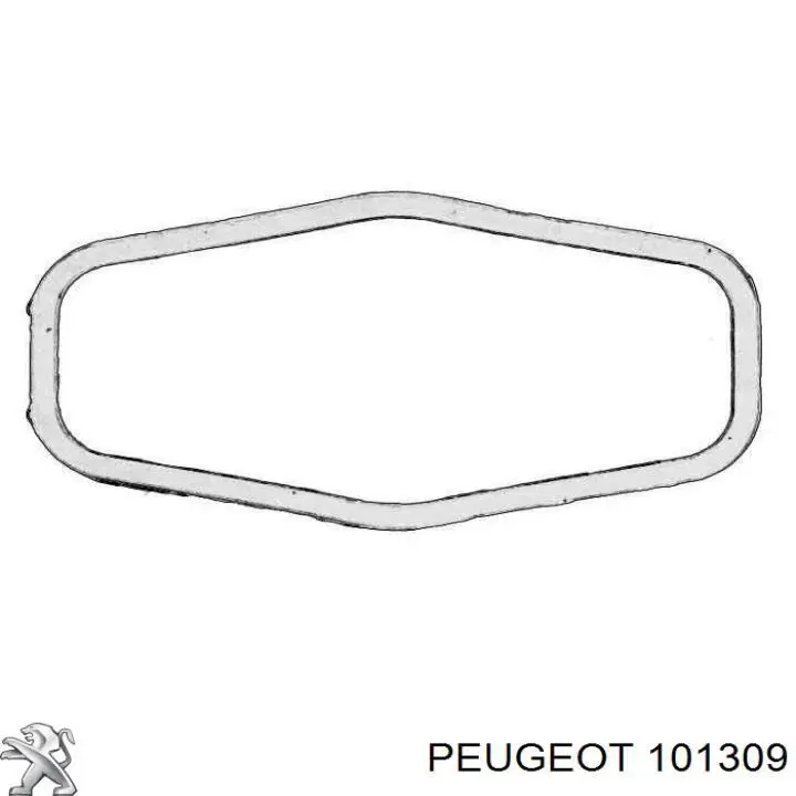 101309 Peugeot/Citroen Прокладка масляного насоса