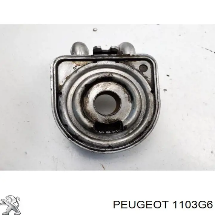 Радіатор масляний (холодильник), під фільтром 1103G6 Peugeot/Citroen