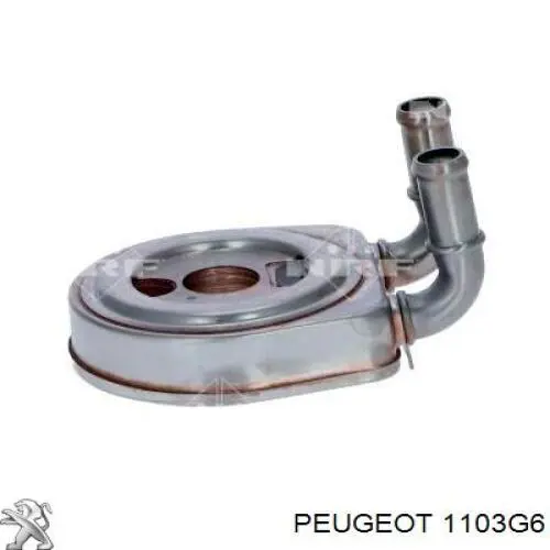 Купити 1103G6 Peugeot/Citroen Радіатор масляний (холодильник), під фільтром