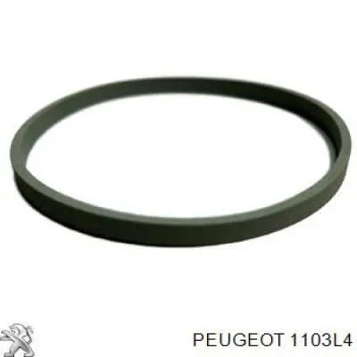 Комплект прокладок корпусу масляного фільтра 1103L4 Peugeot/Citroen