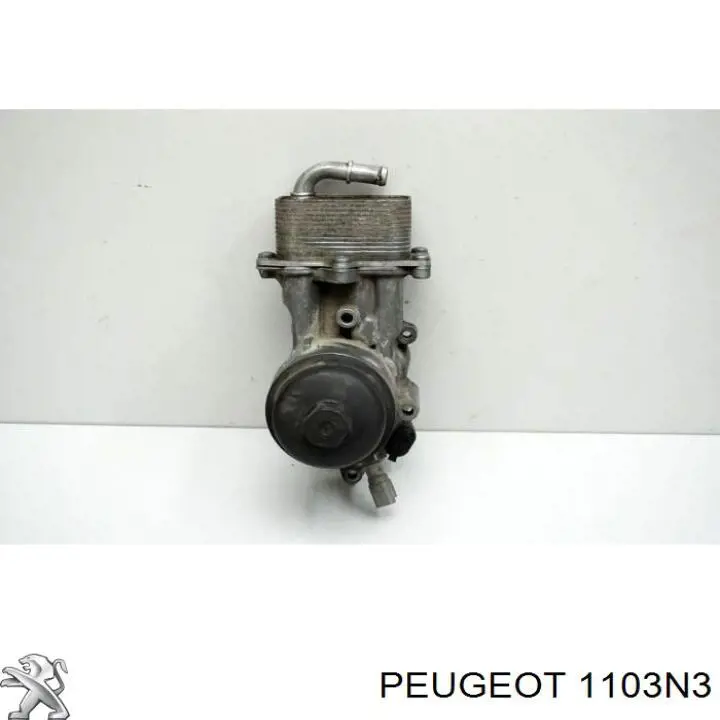1103N3 Peugeot/Citroen Радіатор масляний