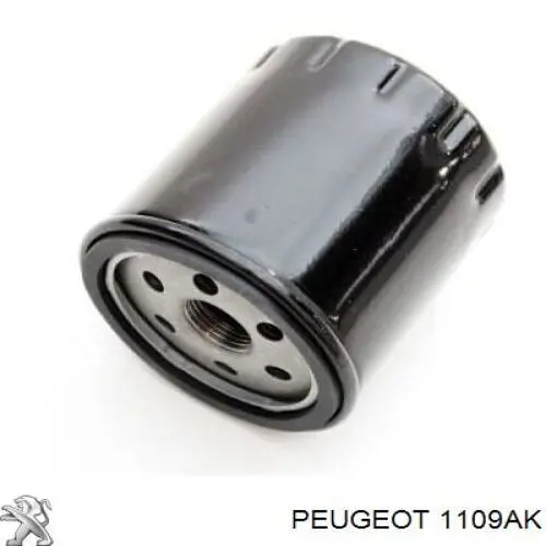 Купити 1109AK Peugeot/Citroen Фільтр очищення масла відцентровий