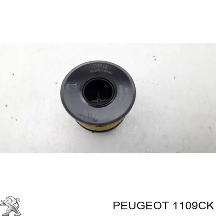 Купити 1109CK Peugeot/Citroen Фільтр очищення масла відцентровий