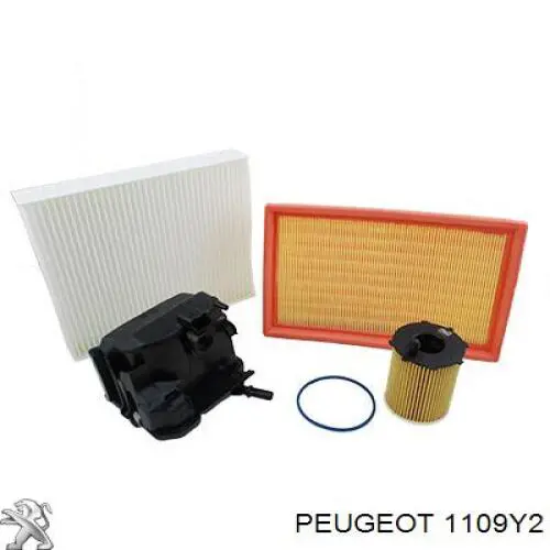 1109Y2 Peugeot/Citroen фільтр масляний