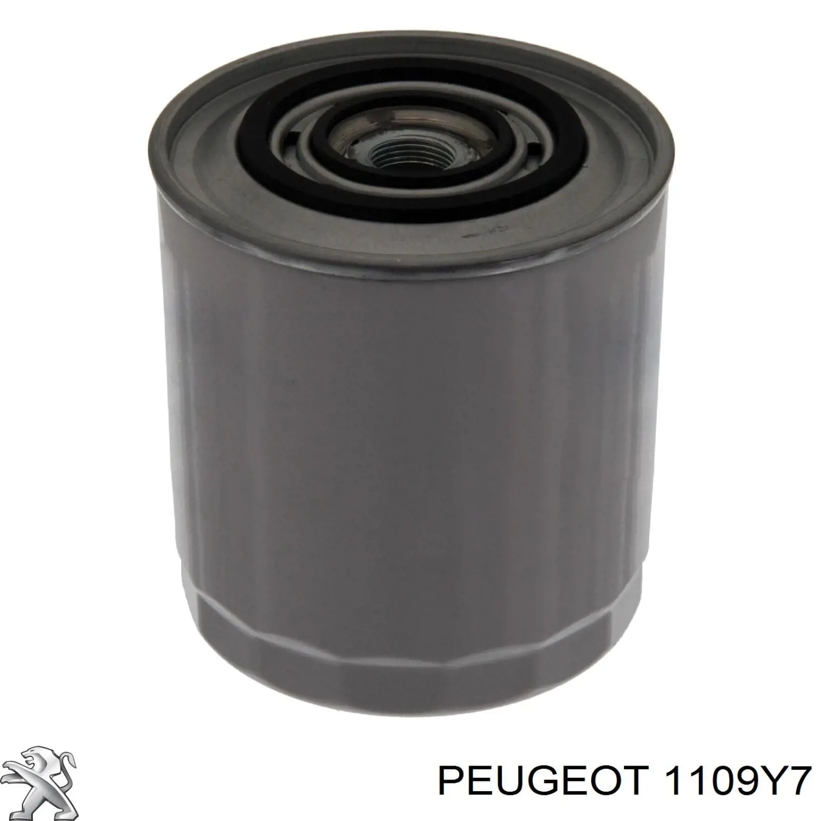 Масляний фільтр двигуна Peugeot/Citroen 1109Y7 ціна, від 9.86 USD