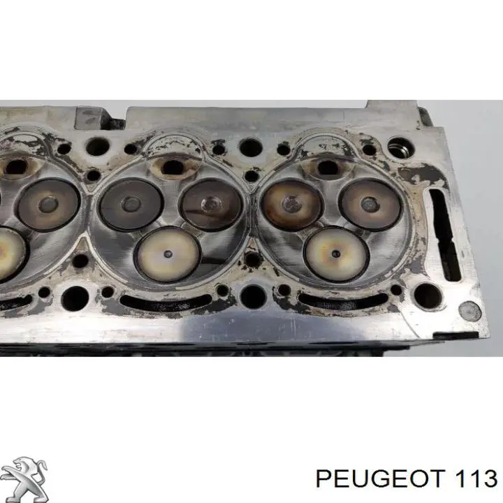 113 Peugeot/Citroen вкладиші колінвала, корінні, комплект, 1-й ремонт (+0,25)