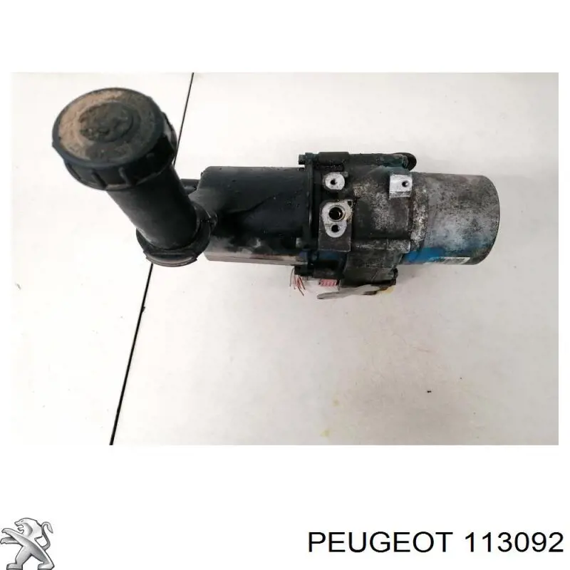 Купити 113092 Peugeot/Citroen 