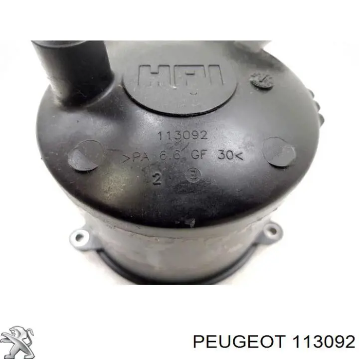  113092 Peugeot/Citroen