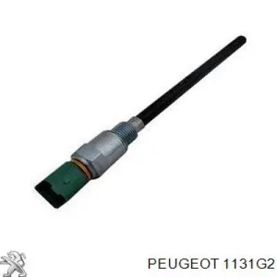 Датчик рівня масла двигуна Peugeot 207 (WA, WC) (Пежо 207)