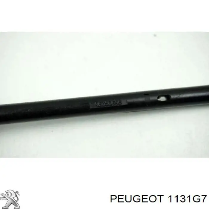 Датчик рівня масла двигуна Peugeot/Citroen 1131G7 ціна, від 15.84 USD