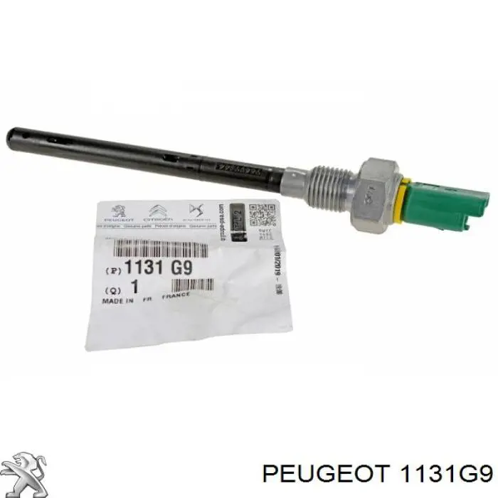 Купити 1131G9 Peugeot/Citroen Датчик рівня масла