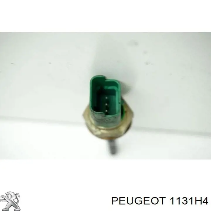 Купити AS5467 Autlog Датчик рівня масла