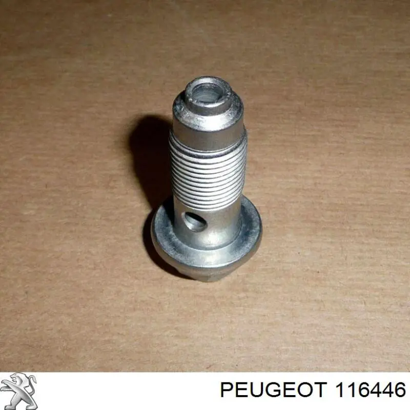 Болт трубки турбіни подачі масла Peugeot Partner (5F) (Пежо Партнер)