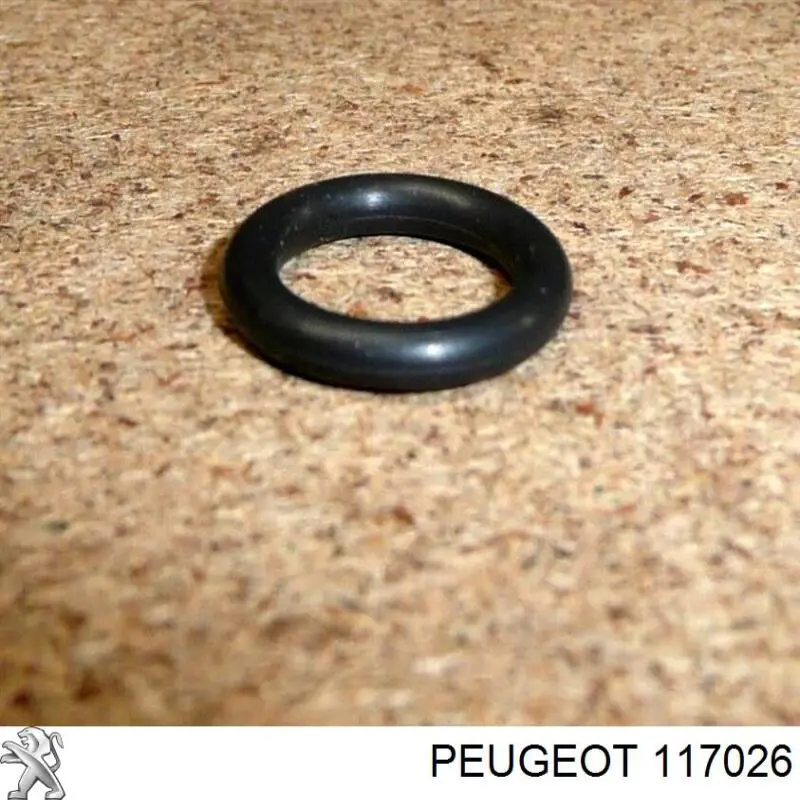 Кільце ущільнювача направляючої щупа рівня масла двигуна Peugeot/Citroen 117026 ціна, від 1.00 USD