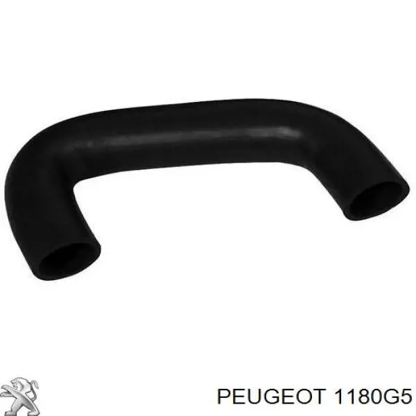 1180G5 Peugeot/Citroen патрубок вентиляції картера, масловіддільника