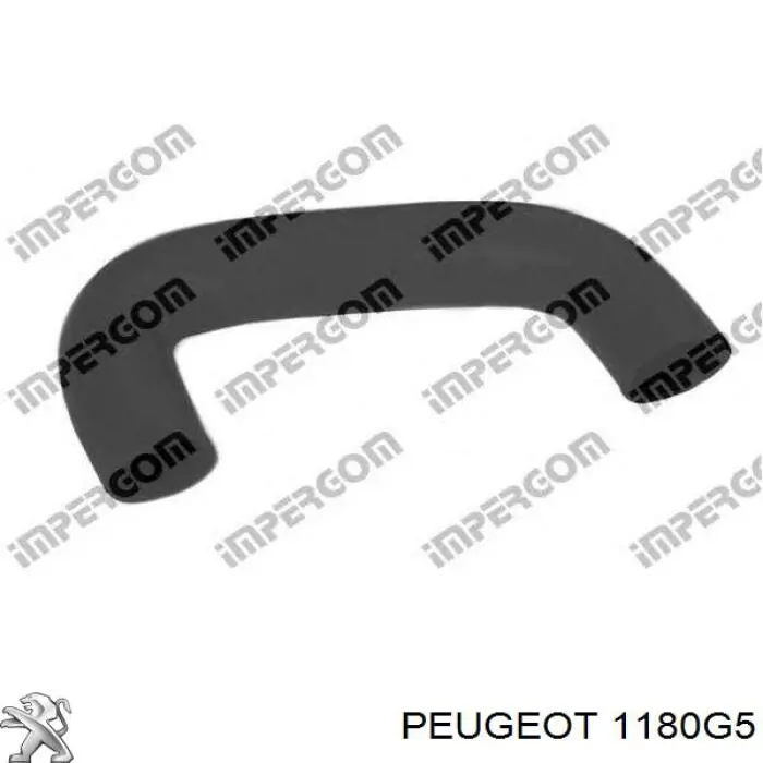 Купити 1180G5 Peugeot/Citroen Шланг для видалення повітря