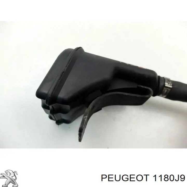 1180J9 Peugeot/Citroen 