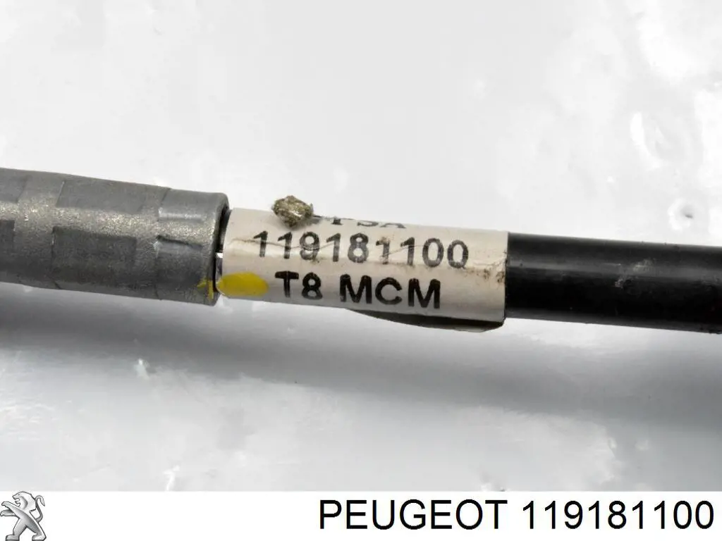 Купити 119181100 Peugeot/Citroen 