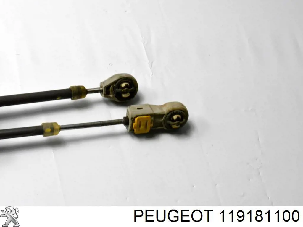 119181100 Peugeot/Citroen 