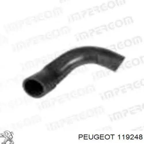 119248 Peugeot/Citroen патрубок вентиляції картера, масловіддільника