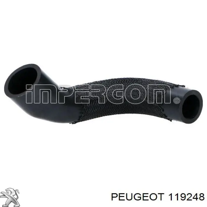 Патрубок вентиляції картера 70720124 BSG