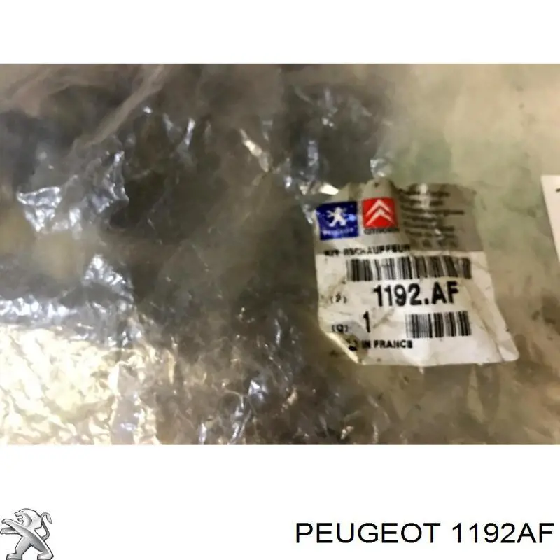 Купити 1192AF Peugeot/Citroen 